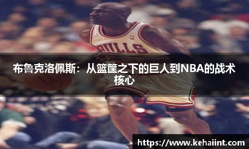 布鲁克洛佩斯：从篮筐之下的巨人到NBA的战术核心